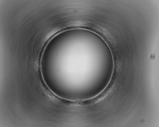 X0000097911073200803141413