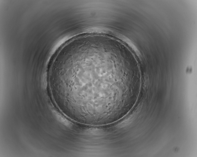 X0000097911075200803141413
