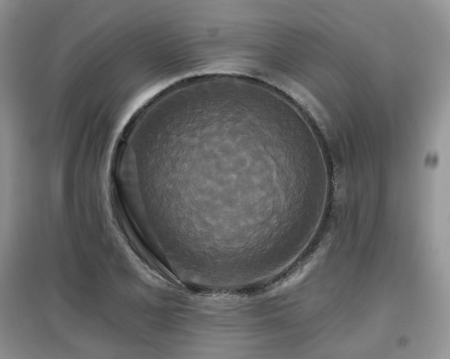 X0000097911077200803141413