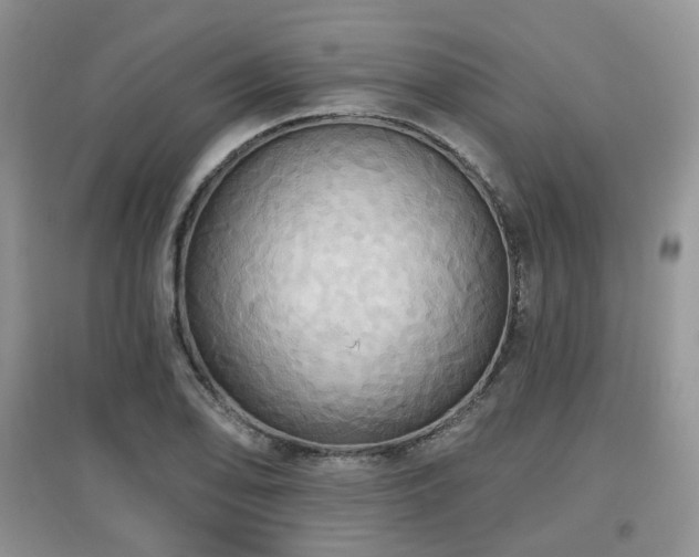 X0000097911078200803141413