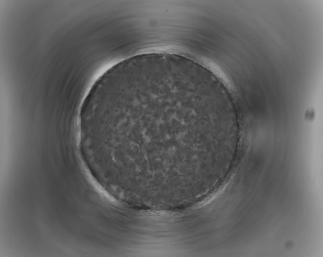 X0000097911079200803141413