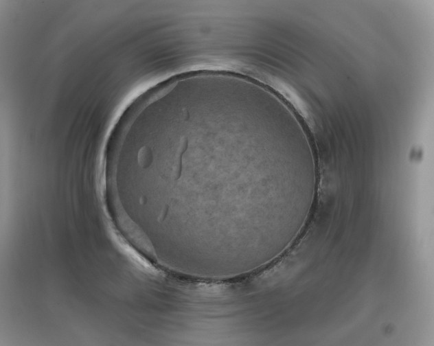 X0000097911080200803141413