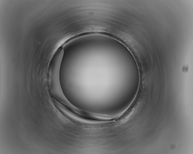 X0000097911081200803141413