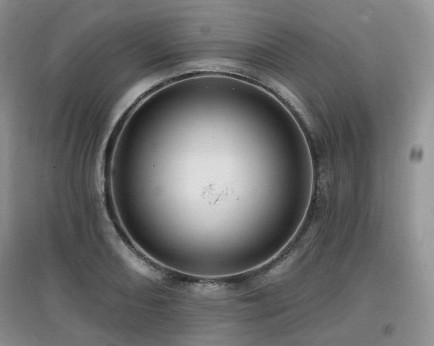 X0000097911082200803141413