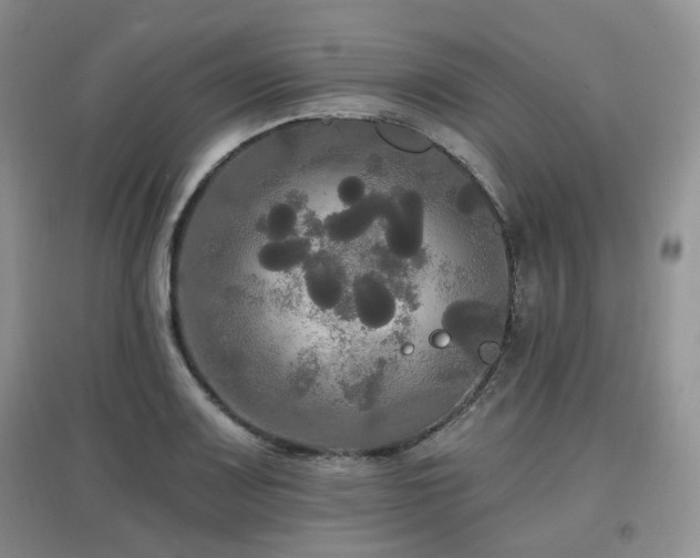 X0000097911083200803141413