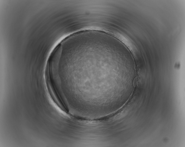 X0000097911084200803141413