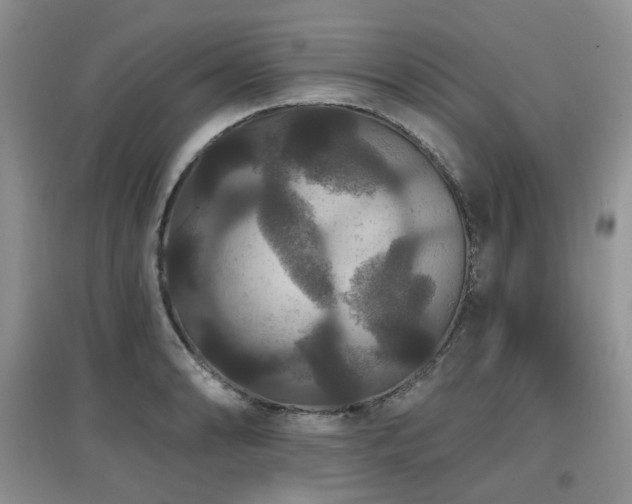 X0000097911086200803141413