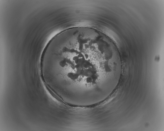 X0000097911087200803141413