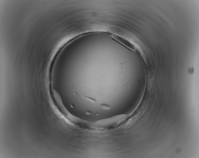 X0000097911088200803141413