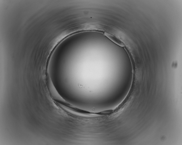 X0000097911089200803141413