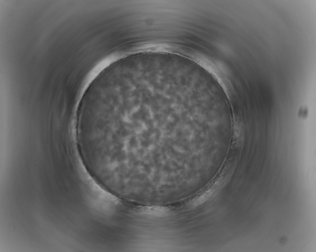 X0000097911090200803141413