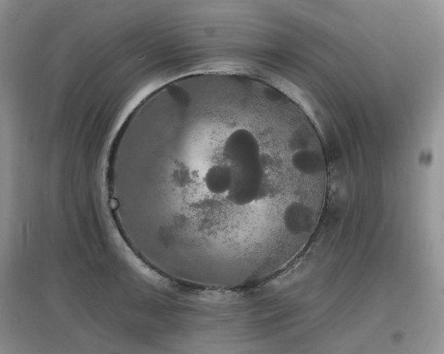 X0000097911091200803141413