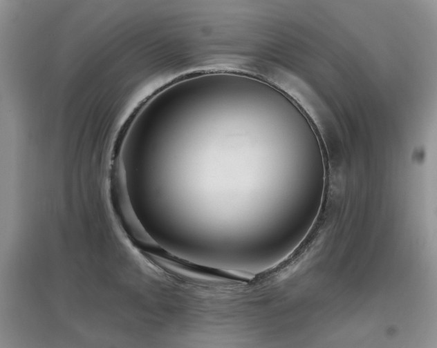 X0000097911093200803141413