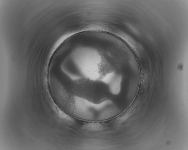 X0000097911094200803141413