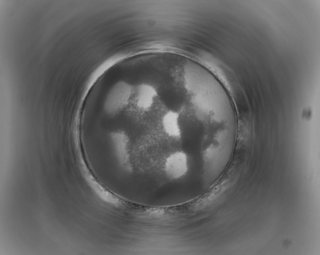 X0000097911098200803141413