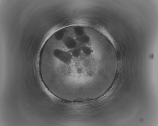 X0000097911099200803141413