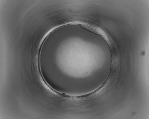 X0000097911100200803141413