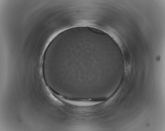 X0000097911102200803141413