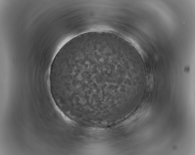 X0000097911103200803141413