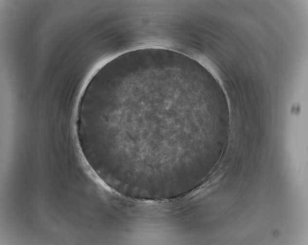 X0000097911104200803141413