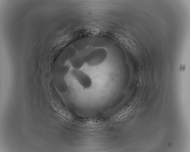 X0000097911105200803141412