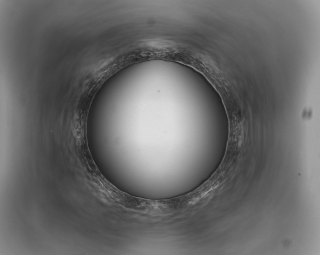 X0000097911109200803141412