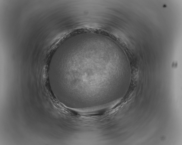 X0000097911110200803141412