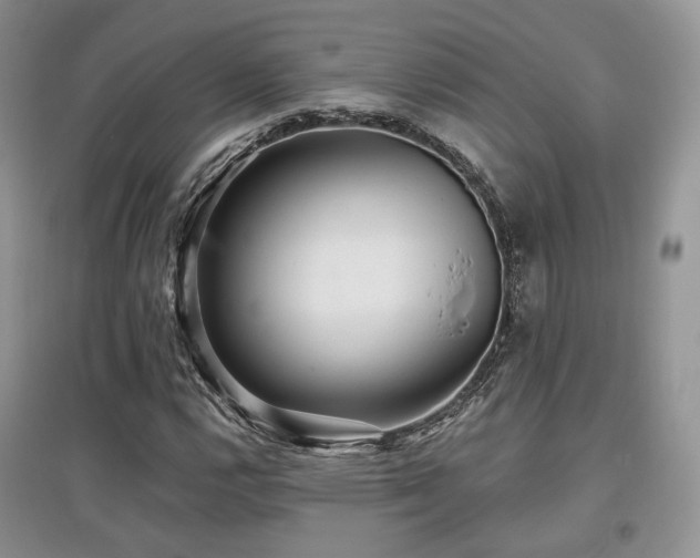 X0000097911112200803141412