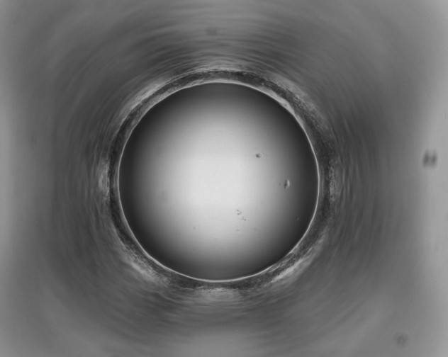 X0000097911113200803141412