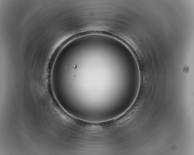 X0000097911119200803141412