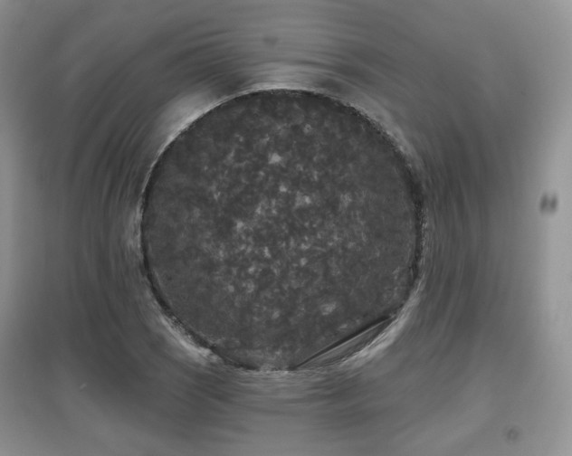 X0000097911121200803141412