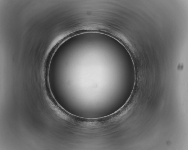 X0000097911122200803141412