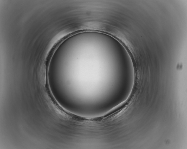 X0000097911123200803141412