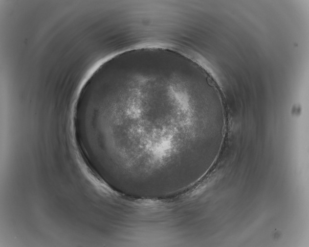 X0000097911124200803141412