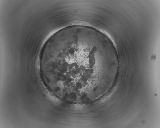 X0000097911125200803141412