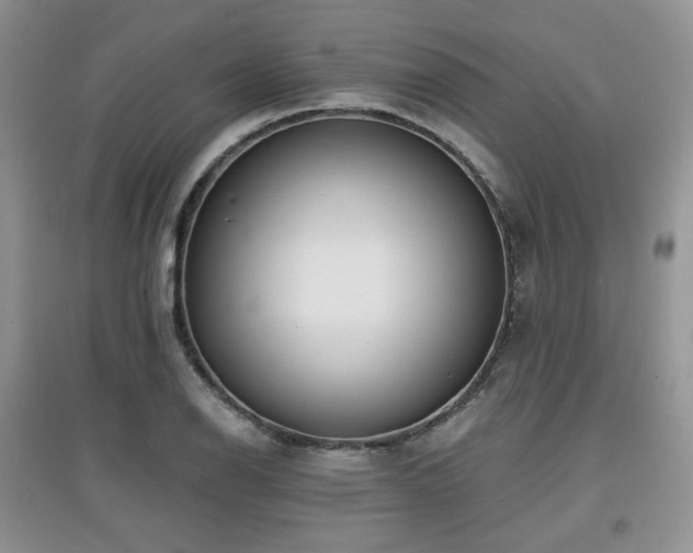 X0000097911126200803141412