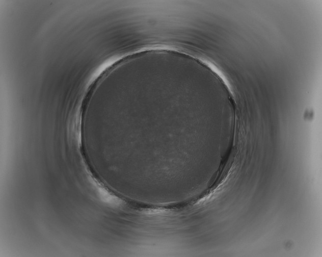 X0000097911127200803141412