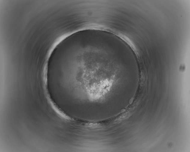 X0000097911128200803141412