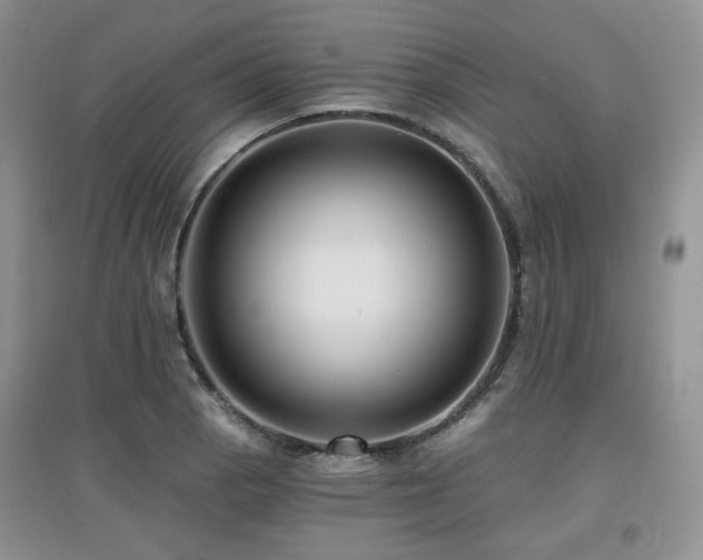 X0000097911129200803141412