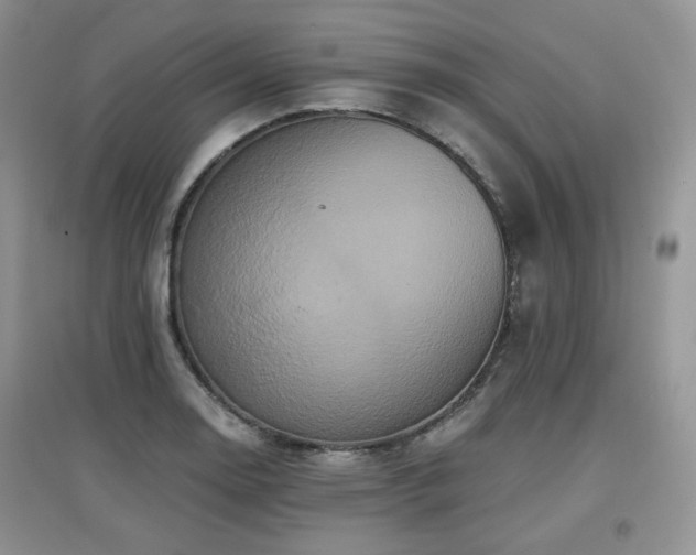 X0000097911130200803141412