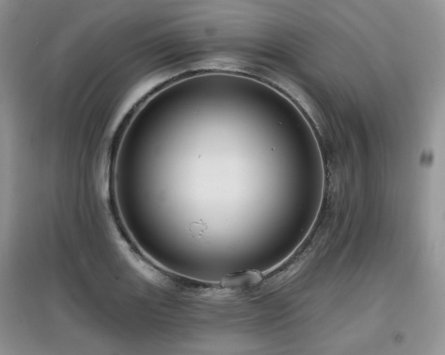 X0000097911131200803141412