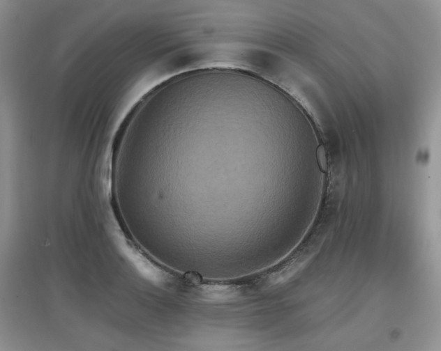 X0000097911132200803141412