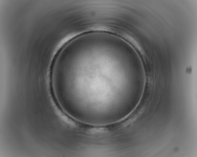 X0000097911133200803141412