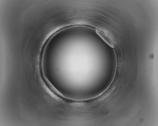 X0000097911134200803141412