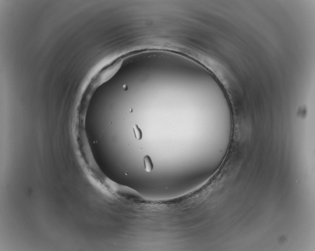 X0000097911136200803141412