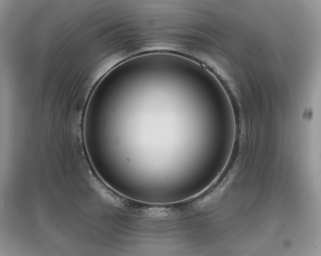 X0000097911137200803141412