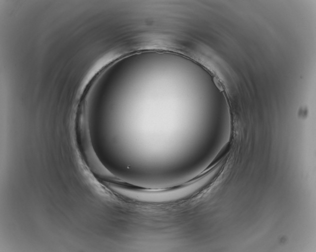 X0000097911138200803141412