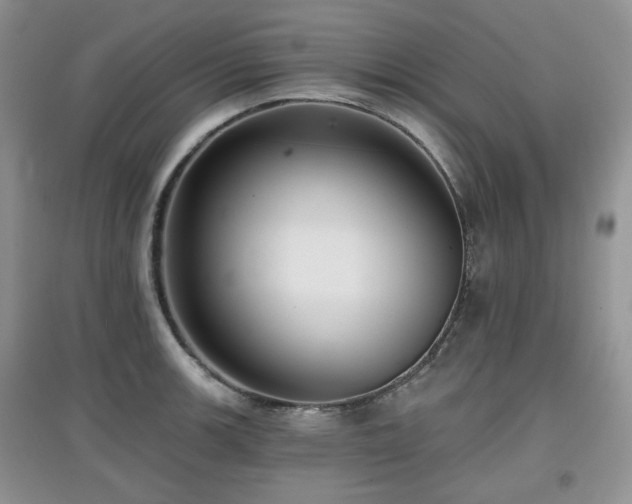 X0000097911139200803141412