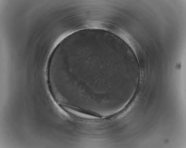 X0000097911141200803141412