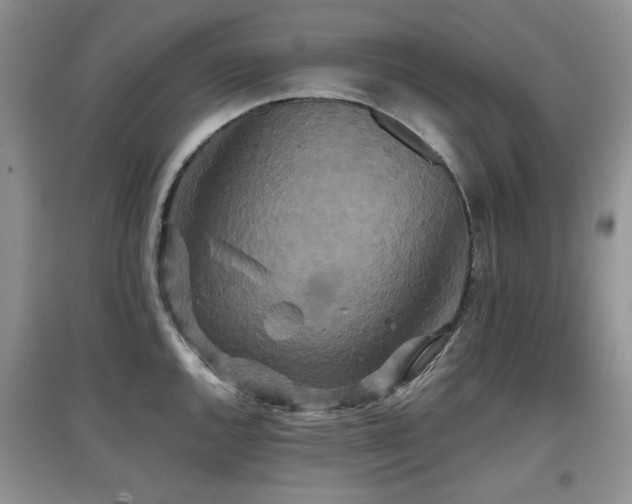 X0000097911144200803141412